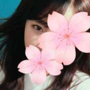 ヒメ日記 2025/12/29 12:04 投稿 もこ 奥さまさくら京橋店