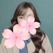 もこ もこ（奥様さくら京橋店） 奥さまさくら京橋店