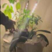 ヒメ日記 2025/12/11 23:40 投稿 しゅり なでしこ(十三)