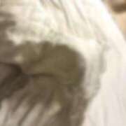 ヒメ日記 2025/12/27 01:10 投稿 しゅり なでしこ(十三)