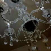 ヒメ日記 2025/12/29 01:45 投稿 しゅり なでしこ(十三)