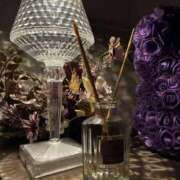 ヒメ日記 2026/02/23 02:03 投稿 しゅり なでしこ(十三)