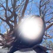 ヒメ日記 2026/03/16 16:47 投稿 しゅり なでしこ(十三)