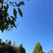 ヒメ日記 2025/10/17 11:15 投稿 永山 菜緒 昼妻夜 滋賀店