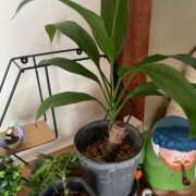 ヒメ日記 2025/10/18 09:36 投稿 永山 菜緒 昼妻夜 滋賀店