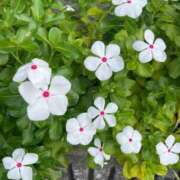 ヒメ日記 2025/10/19 12:00 投稿 永山 菜緒 昼妻夜 滋賀店