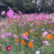 ヒメ日記 2025/10/21 22:48 投稿 永山 菜緒 昼妻夜 滋賀店