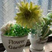 ヒメ日記 2025/10/23 11:48 投稿 永山 菜緒 昼妻夜 滋賀店