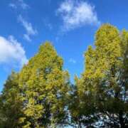 ヒメ日記 2025/10/28 09:03 投稿 永山 菜緒 昼妻夜 滋賀店