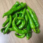 ヒメ日記 2025/10/31 08:42 投稿 永山 菜緒 昼妻夜 滋賀店