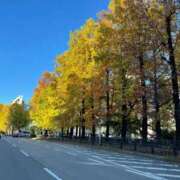 ヒメ日記 2025/11/17 08:48 投稿 永山 菜緒 昼妻夜 滋賀店