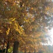 ヒメ日記 2025/11/21 10:12 投稿 永山 菜緒 昼妻夜 滋賀店