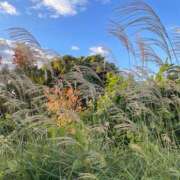 ヒメ日記 2025/11/22 10:33 投稿 永山 菜緒 昼妻夜 滋賀店