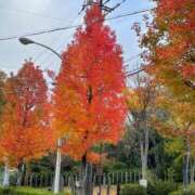 ヒメ日記 2025/11/25 13:42 投稿 永山 菜緒 昼妻夜 滋賀店