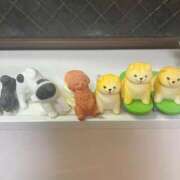 ヒメ日記 2025/11/25 20:48 投稿 永山 菜緒 昼妻夜 滋賀店