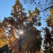 ヒメ日記 2025/11/29 08:18 投稿 永山 菜緒 昼妻夜 滋賀店