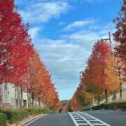 ヒメ日記 2025/11/29 12:18 投稿 永山 菜緒 昼妻夜 滋賀店