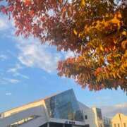 ヒメ日記 2025/11/29 12:33 投稿 永山 菜緒 昼妻夜 滋賀店