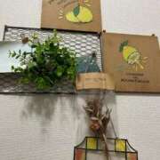 ヒメ日記 2025/12/07 09:48 投稿 永山 菜緒 昼妻夜 滋賀店