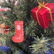 ヒメ日記 2025/12/11 12:03 投稿 永山 菜緒 昼妻夜 滋賀店