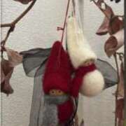 ヒメ日記 2025/12/15 12:18 投稿 永山 菜緒 昼妻夜 滋賀店