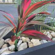 ヒメ日記 2025/12/16 16:03 投稿 永山 菜緒 昼妻夜 滋賀店