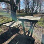 ヒメ日記 2025/12/19 12:48 投稿 永山 菜緒 昼妻夜 滋賀店