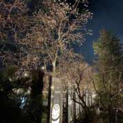 ヒメ日記 2025/12/22 20:18 投稿 永山 菜緒 昼妻夜 滋賀店