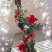 ヒメ日記 2025/12/23 16:33 投稿 永山 菜緒 昼妻夜 滋賀店