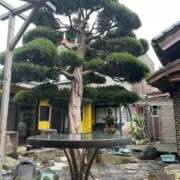 ヒメ日記 2026/01/11 12:03 投稿 永山 菜緒 昼妻夜 滋賀店