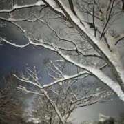 ヒメ日記 2026/02/09 09:33 投稿 永山 菜緒 昼妻夜 滋賀店