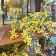 ヒメ日記 2026/02/09 15:48 投稿 永山 菜緒 昼妻夜 滋賀店