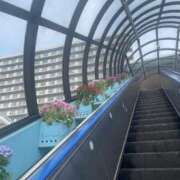 ヒメ日記 2026/03/09 13:18 投稿 永山 菜緒 昼妻夜 滋賀店