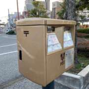 ヒメ日記 2026/03/12 10:18 投稿 永山 菜緒 昼妻夜 滋賀店