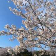 ヒメ日記 2026/04/03 14:48 投稿 永山 菜緒 昼妻夜 滋賀店