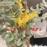 ヒメ日記 2026/04/05 09:33 投稿 永山 菜緒 昼妻夜 滋賀店