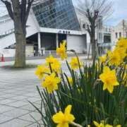 ヒメ日記 2026/04/05 16:33 投稿 永山 菜緒 昼妻夜 滋賀店