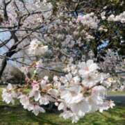 ヒメ日記 2026/04/06 20:33 投稿 永山 菜緒 昼妻夜 滋賀店