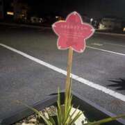 ヒメ日記 2026/04/09 22:33 投稿 永山 菜緒 昼妻夜 滋賀店