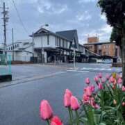 ヒメ日記 2026/04/10 21:27 投稿 永山 菜緒 昼妻夜 滋賀店