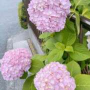 ヒメ日記 2026/05/27 19:18 投稿 永山 菜緒 昼妻夜 滋賀店
