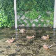 ヒメ日記 2026/09/08 09:28 投稿 永山 菜緒 昼妻夜 滋賀店