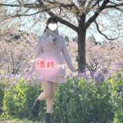 ヒメ日記 2026/04/10 07:09 投稿 えり ぐっすり山田　上野店