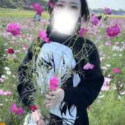 ヒメ日記 2025/11/17 15:14 投稿 愛川にこ ウルトラロイヤル