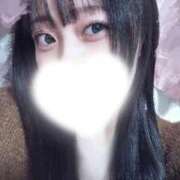 愛川にこ ねこ ウルトラロイヤル