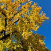 るん 13日(木)のお礼💄と本日出勤します報告 熟女家 堺東店