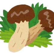 るん 11/23(日)のお礼🍄 熟女家 堺東店