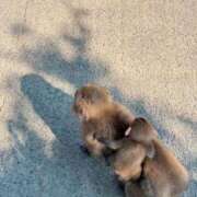 るん 🦭 熟女家 堺東店