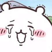 ヒメ日記 2025/11/26 06:05 投稿 りり チューリップ福井本館