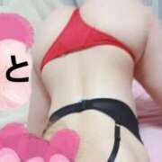 ヒメ日記 2026/01/03 12:18 投稿 みこと 高津角えび